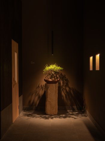 Ember_Studio-Traces_DionRobeson-118_LR-350x467