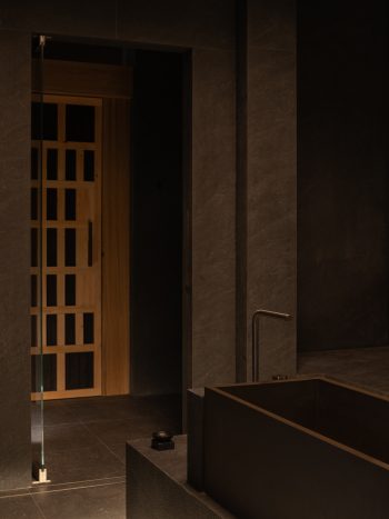 Ember_Studio-Traces_DionRobeson-23_LR-350x467