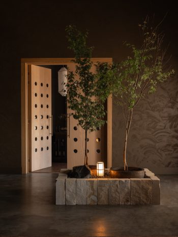 Ember_Studio-Traces_DionRobeson-68_LR-350x467