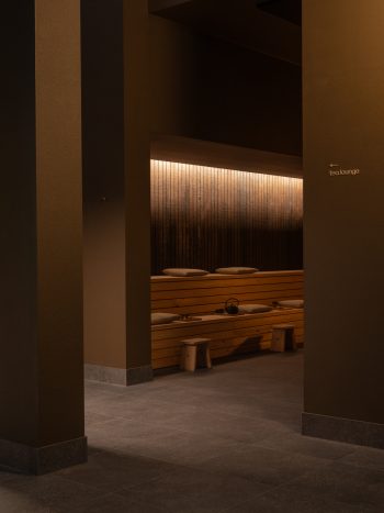Ember_Studio-Traces_DionRobeson-74_LR-350x467