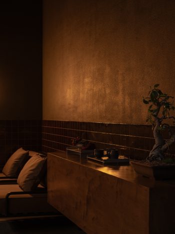 Ember_Studio-Traces_DionRobeson-89_LR-350x467