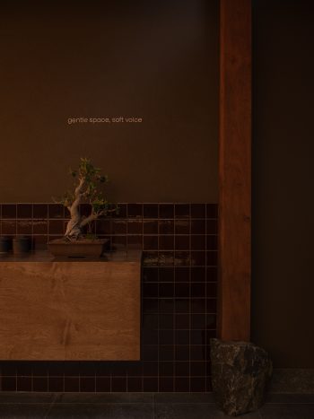 Ember_Studio-Traces_DionRobeson-91_LR-350x467